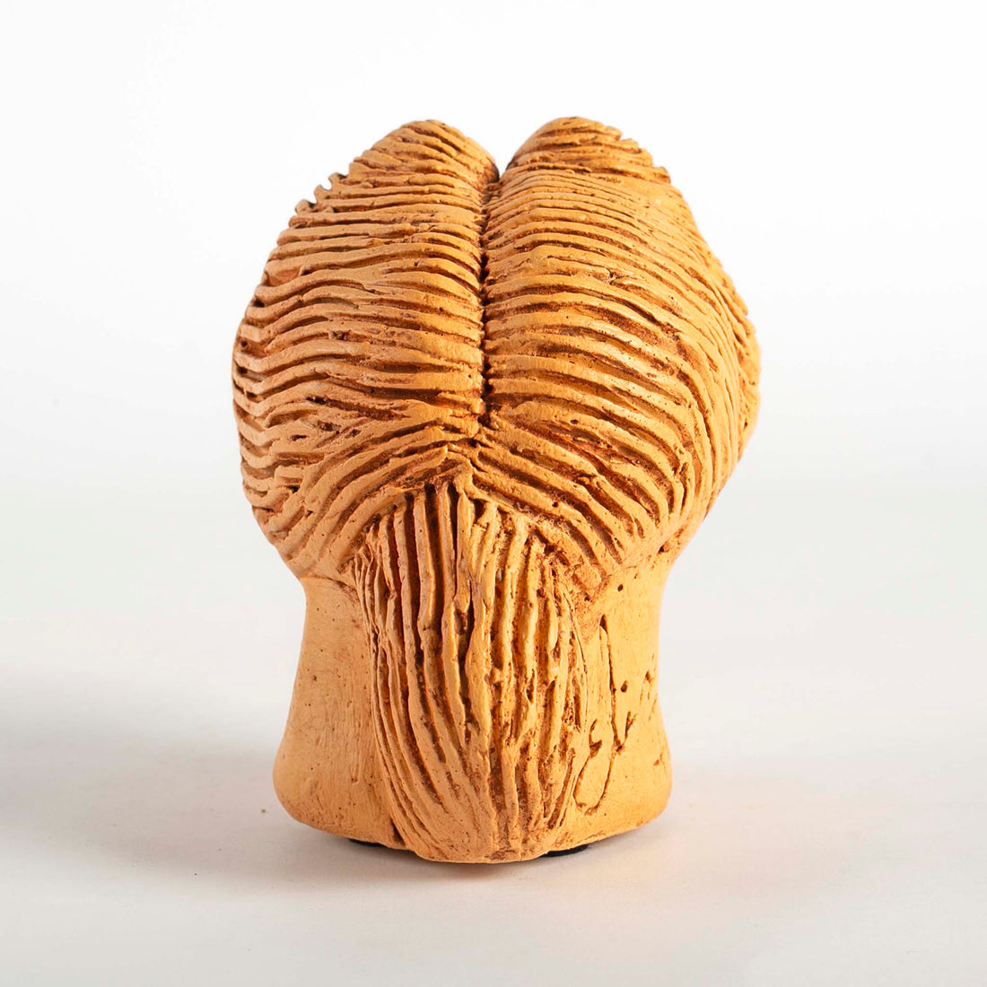 Cabeça Feminina - Elisa Pena
