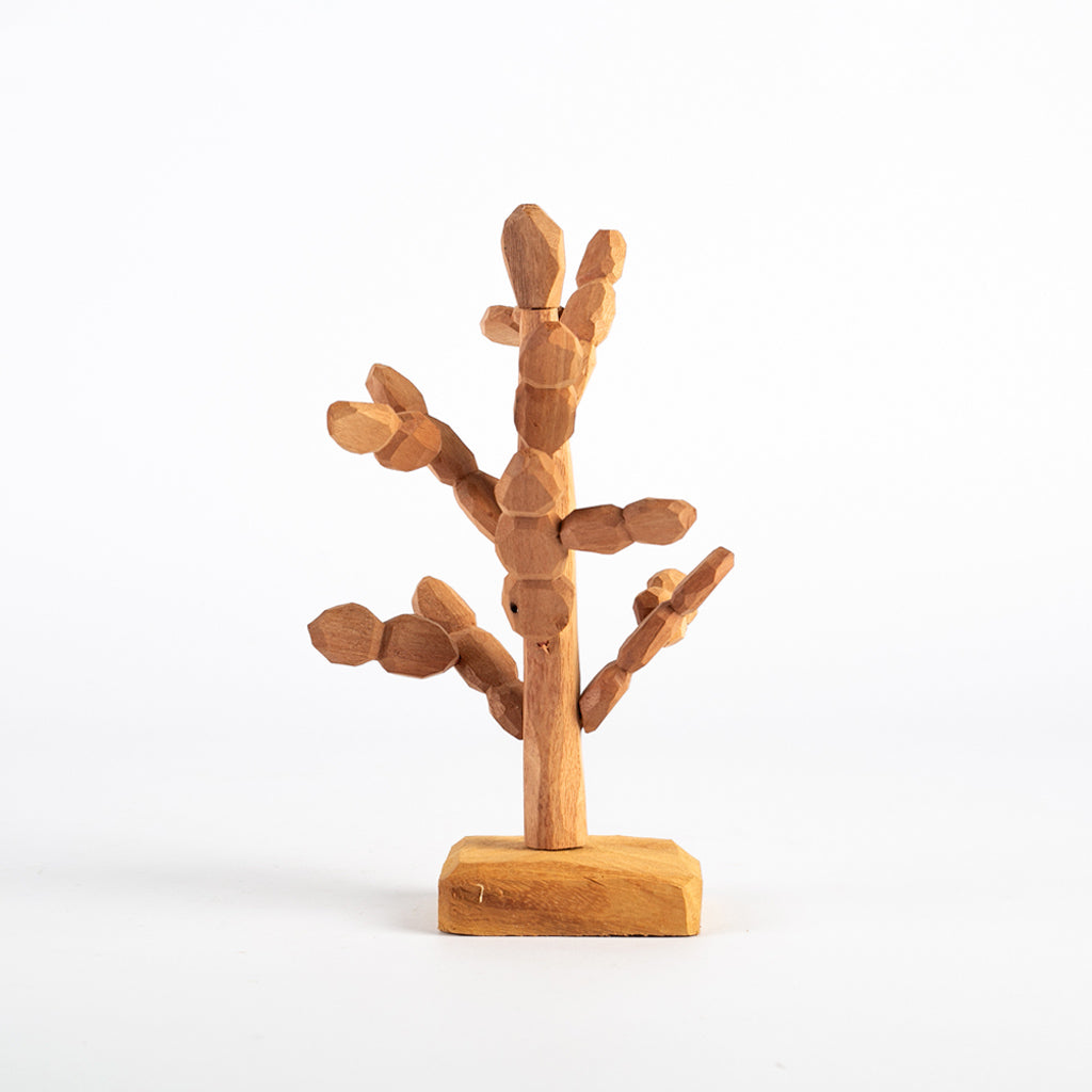 Cacto Semáforo - Luiz Benício