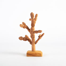 Cacto Semáforo - Luiz Benício
