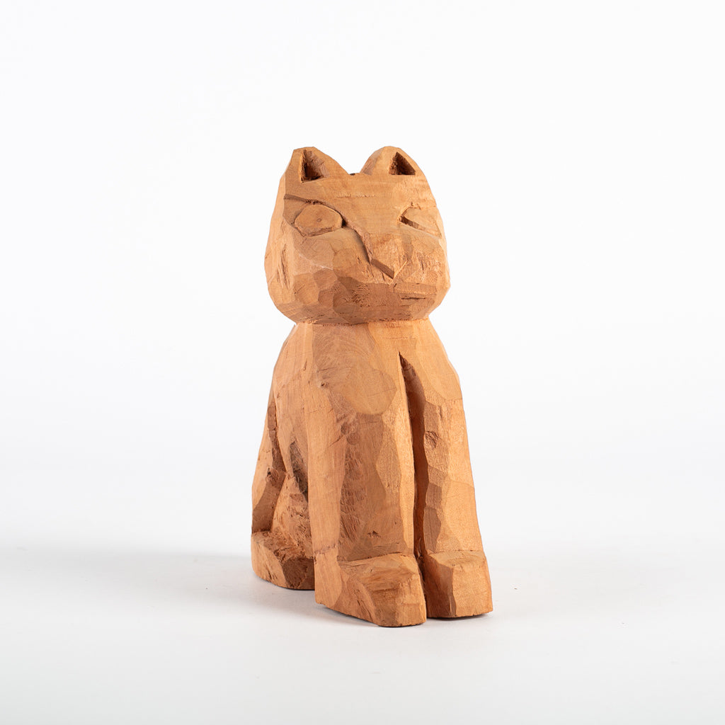 Gato - Simone Souza