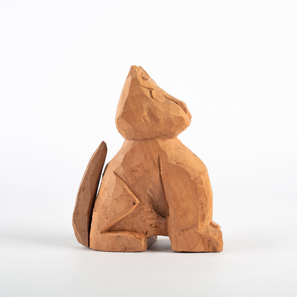 Gato - Simone Souza