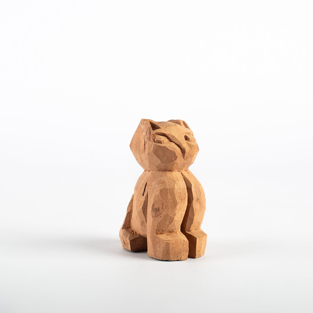 Gato - Simone Souza