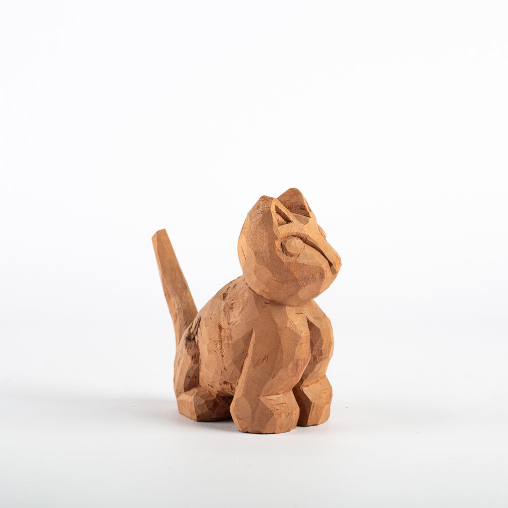 Gato - Simone Souza